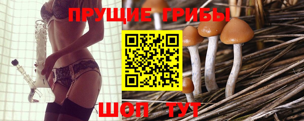 Галлюциногенные грибы Psilocybine cubensis Уссурийск